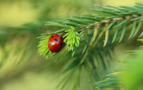开元棋牌：未来在线棋牌市场将如何演变？