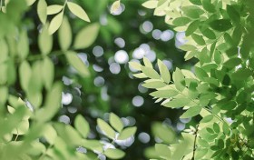 掌握扎金花的技巧，让你在2025年轻松成为牌桌上的赢家！