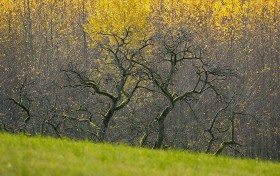 我花了一周时间，终于找到2025年最全的色戒迅雷下载攻略！