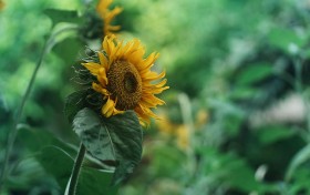 开云体育app下载让你重燃运动热情，你准备好了吗？