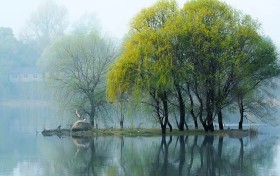 欢乐棋牌：我在一年里挑战自我，体验了五种极致的快乐玩法！