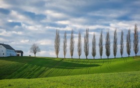 干良家的秘密，你绝对想不到！