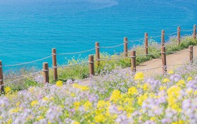 阿拉的后花园，竟藏着这样一个秘密？