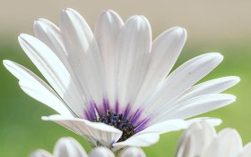 未来的大发乐园，能否成为年轻人的心仪之地？