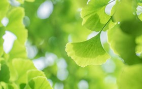 陈宝莲艳三级电影全集，究竟有多火？你一定想知道的秘密！