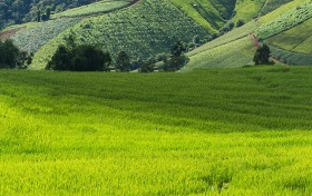 你知道六合彩57期开奖结果背后隐藏着什么秘密吗？