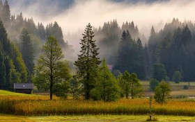 新万博苹果下载后，竟然发现了这些意想不到的功能！