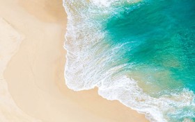 新葡京的未来：你会被这座城市的变革吸引吗？