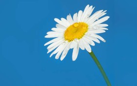 六合彩即时开彩，你是否抓住了这一波财富机会？