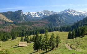 掌握亿彩策略，开启你的商业新蓝海！