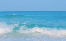 小仙女直播崛起，2025年谁能成为粉丝心中的女神?