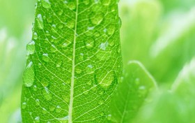 我玩j9九游会两个月，这些新玩法竟让我大赚特赚！