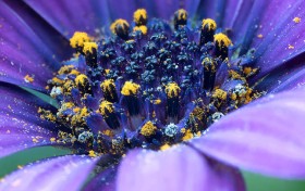 上游棋牌游戏大厅的乐趣，让你欲罢不能！