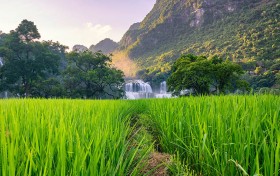 香港开马现场直播，为何万众瞩目？这里的秘密你绝对想知道！
