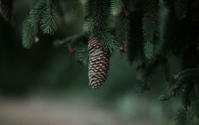 掌握这些技巧，轻松在手机彩票网中赢得大奖攻略！