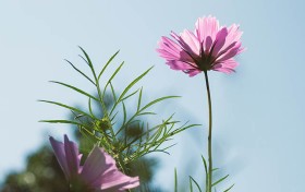 我在葡京娱乐场nb88.com上试了一个月，竟然收获了意想不到的成功！