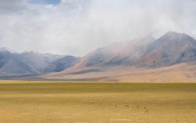 香港赛马会的最准资料免费资料揭秘，您准备好参与盛宴了吗？