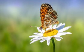 香巷六给开奖结果，你的好运即将来临，快来看看结果吧！