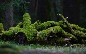 澳彩开奖结果历史记录30期，你能从中找到赢家的秘密吗？