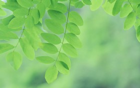 探索源君物语的奥秘，掌握这几点让你轻松入门！