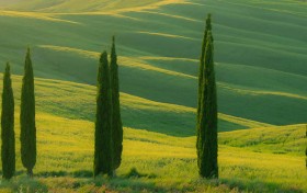 我在澳门葡京赌场的72小时：如何从零到一赢得2万元的真实经历