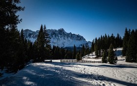 揭秘利来国际，掌握行业新机遇，助你轻松突围！