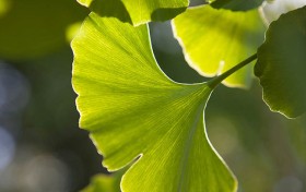 揭秘利来国际的成功秘诀，助你在竞争激烈的市场中脱颖而出！