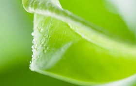 这个秘诀，让你的生活瞬间“开彩”！