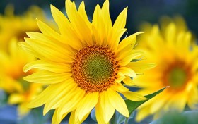 pk10开奖，让每一个梦想都触手可及的秘密武器是什么？