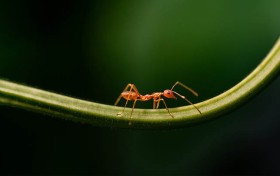 江苏快3：你会选择在这个快速变化的平台上投资吗？