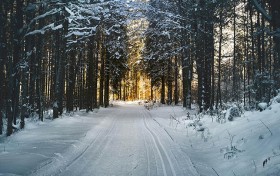 天下彩9944cc图文资讯刷新玩法，惊艳你的视野和运势！