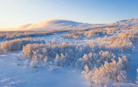 劲爆体育官网引爆全场，你准备好参与这场狂欢了吗？