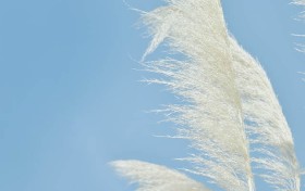 掌握专业彩票走势图，这个方法能让你中奖几率翻倍！