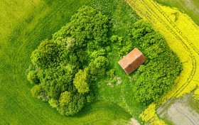 红色大片的秘密：如何在营销中运用视觉冲击力提升品牌影响力？