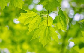 掌握这几点，轻松选择可靠的买球网站，畅享无忧下注体验！