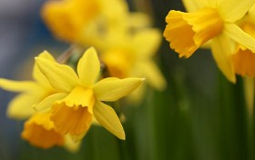 买彩票的技巧与陷阱，你是否掌握了？