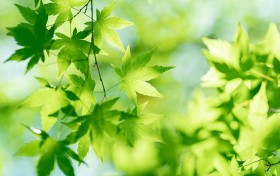 乐透风暴！揭秘腾讯分分彩计划，让你赢得更多彩金的秘密！