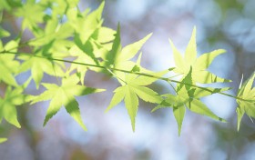 我在www.cnhan.com上学习了两个月，竟然掌握了5个流行营销秘诀！