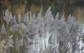 我在天天娱乐城沉浸了3个月，发现了5个不为人知的赚钱秘密！