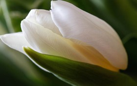 我每周都在关注，揭秘香港六合彩现场开奖结果背后的赚钱秘诀！